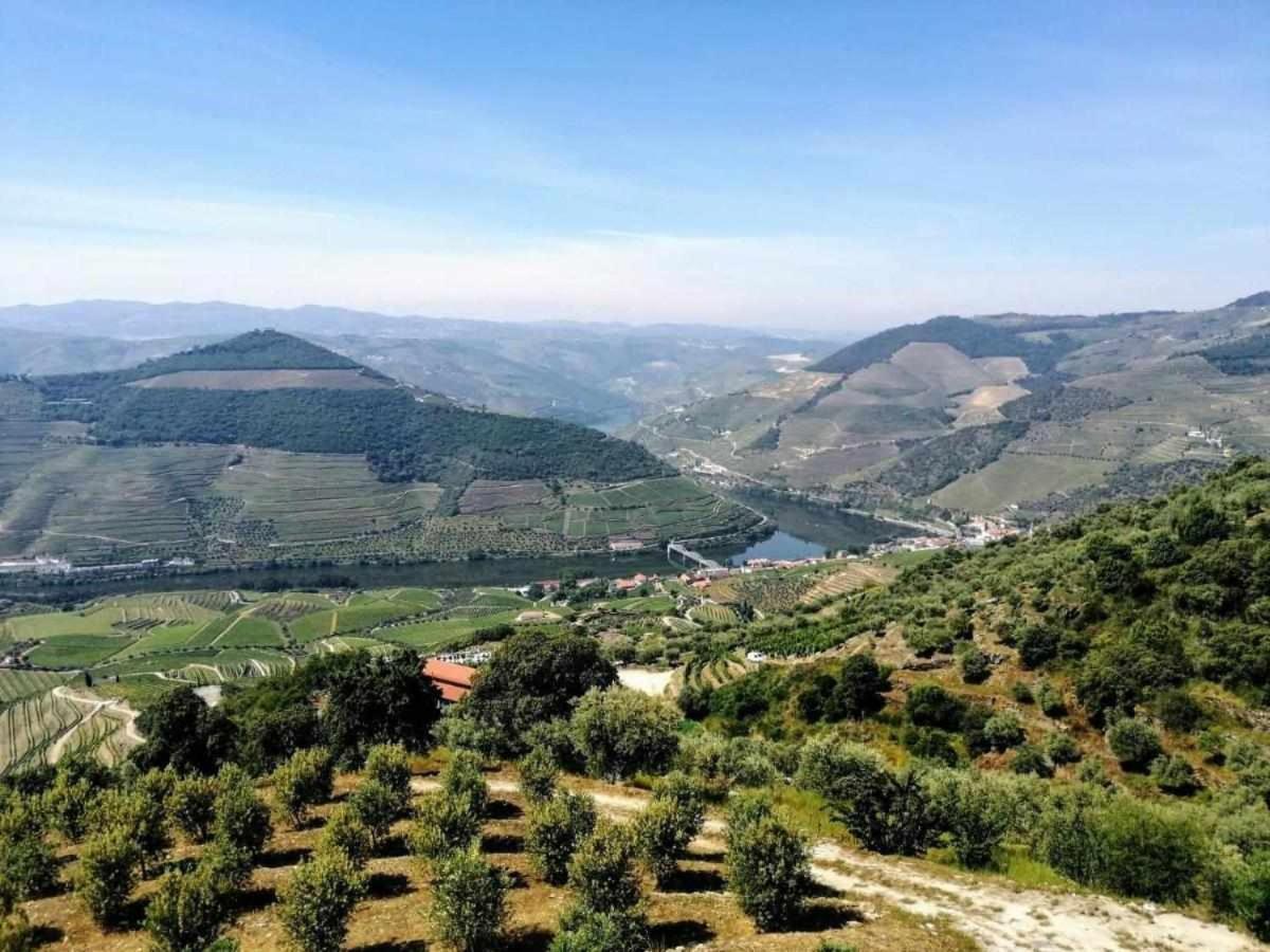 Quinta Vale Das Papas Casal de Loivos المظهر الخارجي الصورة